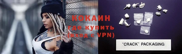 ПСИЛОЦИБИНОВЫЕ ГРИБЫ Михайлов