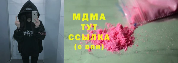 ПСИЛОЦИБИНОВЫЕ ГРИБЫ Михайлов