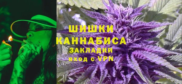 ПСИЛОЦИБИНОВЫЕ ГРИБЫ Михайлов