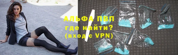 ПСИЛОЦИБИНОВЫЕ ГРИБЫ Михайлов