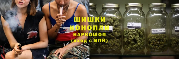 ПСИЛОЦИБИНОВЫЕ ГРИБЫ Михайлов