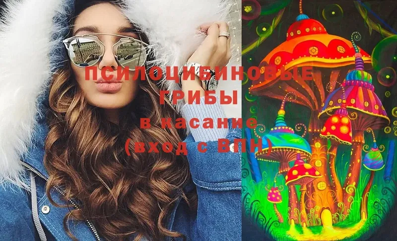 Псилоцибиновые грибы мухоморы  shop клад  Кызыл  закладки 