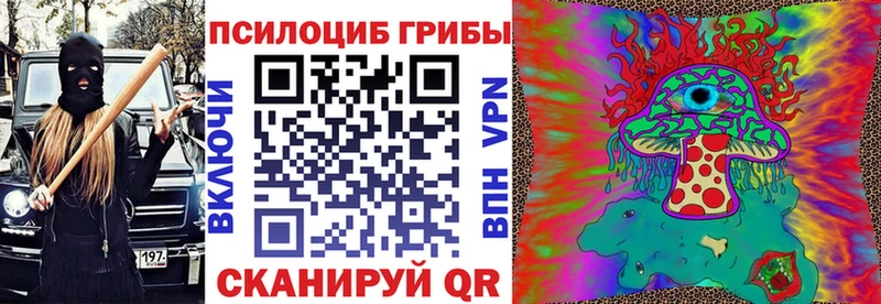 Галлюциногенные грибы прущие грибы  хочу   Кызыл 