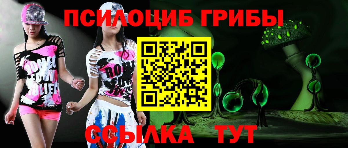 Псилоцибиновые грибы мицелий Кызыл