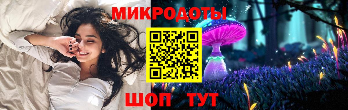 Псилоцибиновые грибы Cubensis  Псилоцибиновые грибы Psilocybine cubensis  Кызыл 