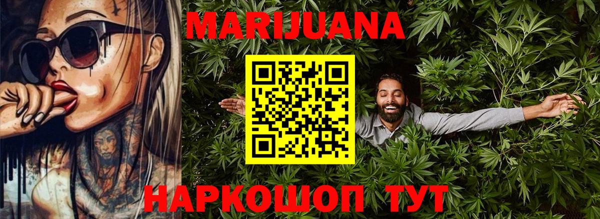 Каннабис сатива  Канабис семена  Кызыл  Канабис SATIVA & INDICA  Бошки Шишки индика 